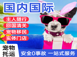 保山云瑞机场物流国际宠物托运 【国